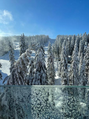 Woodside Kopaonik & SPA by Slopeview
